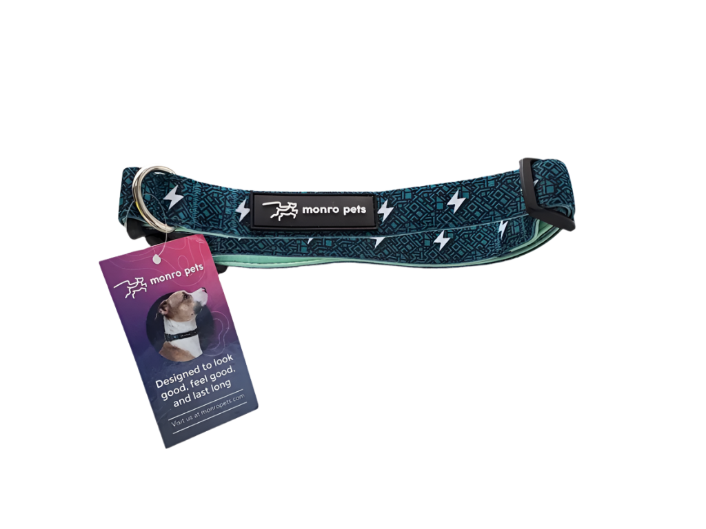 Circuit Green Dog Collar