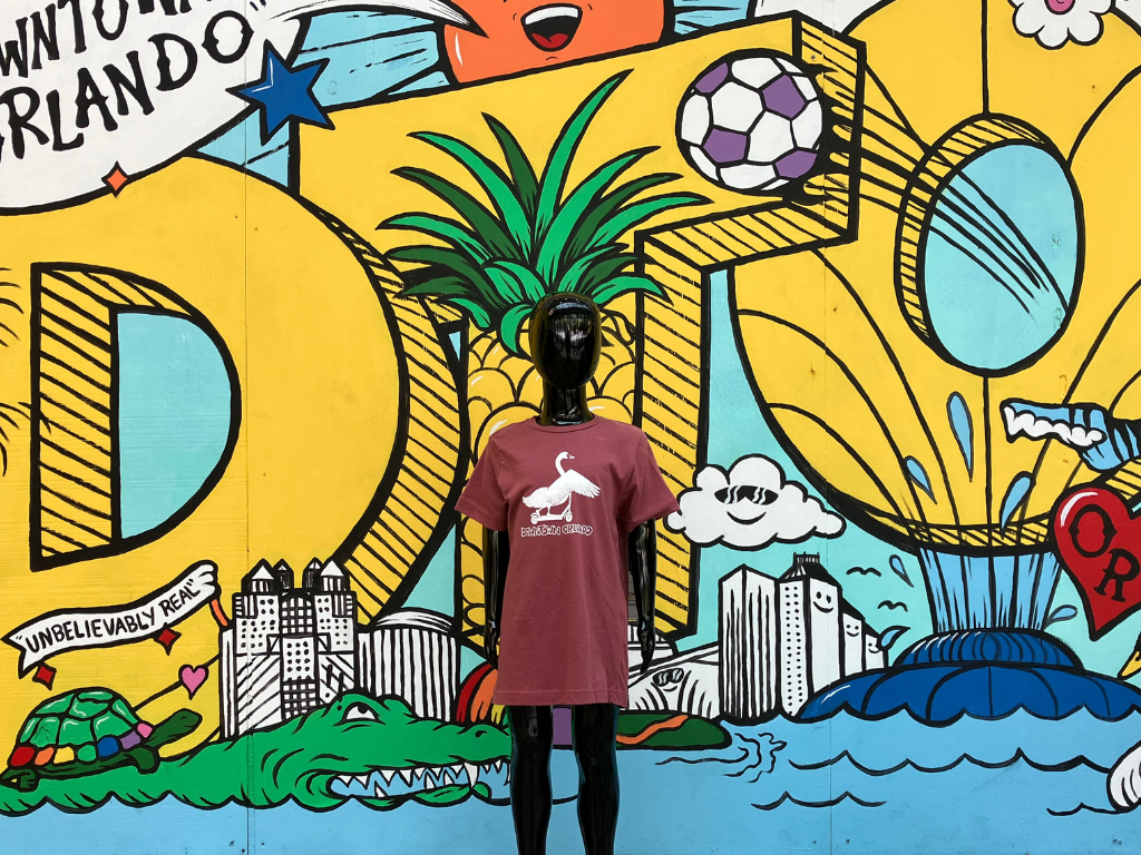 Swan Downtown Orlando Youth