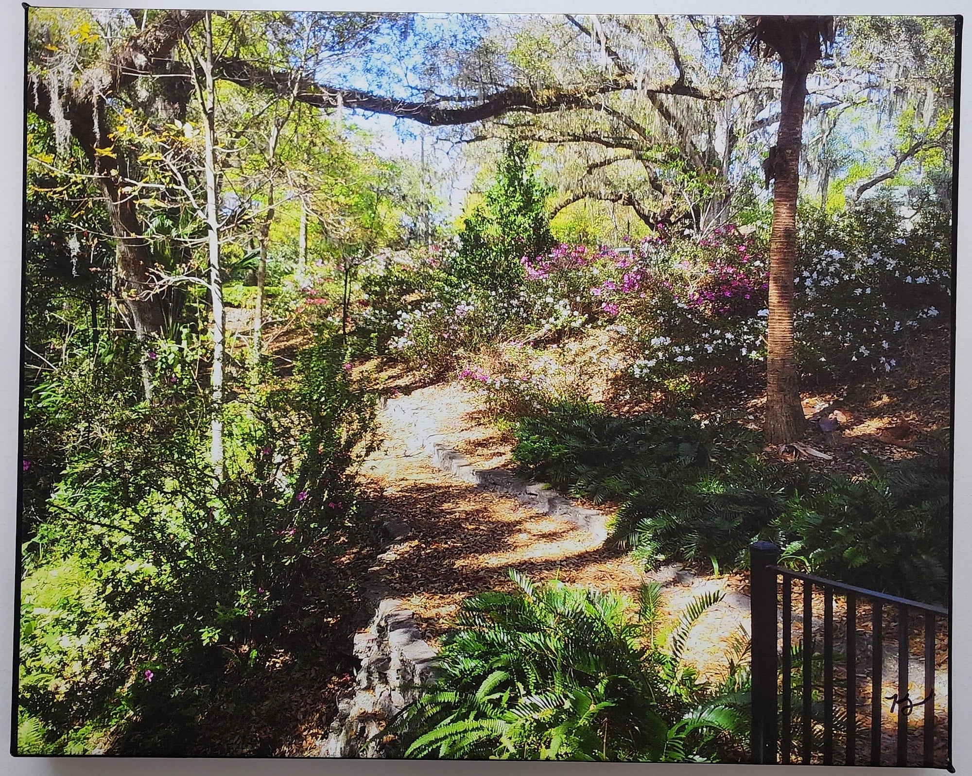 Dickson Azalea Park Canvas Print