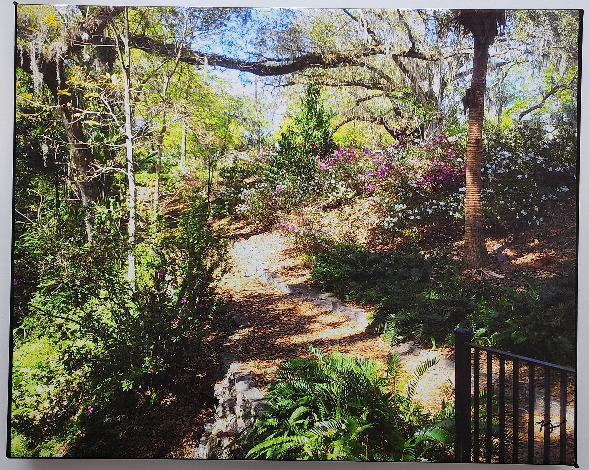 Dickson Azalea Park Photo Greeting Card