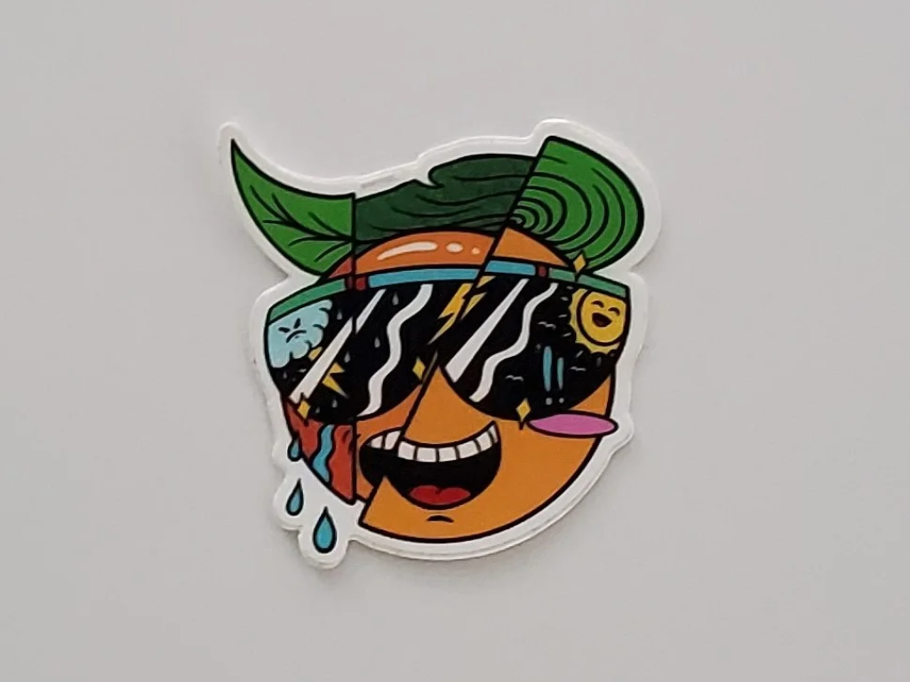 The Sectioned Orange Sticker