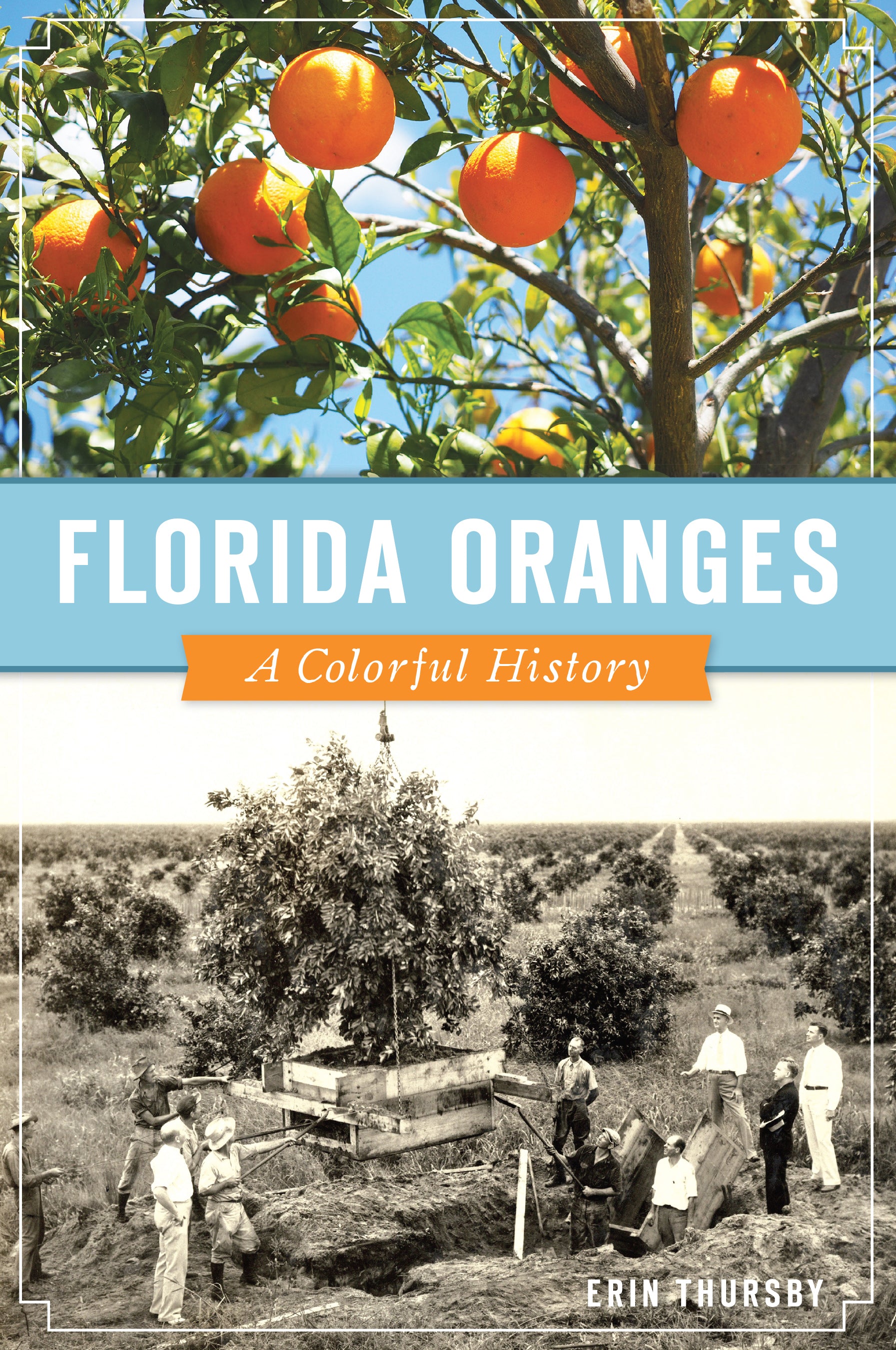 Florida Oranges: A Colorful History by Erin Thursby