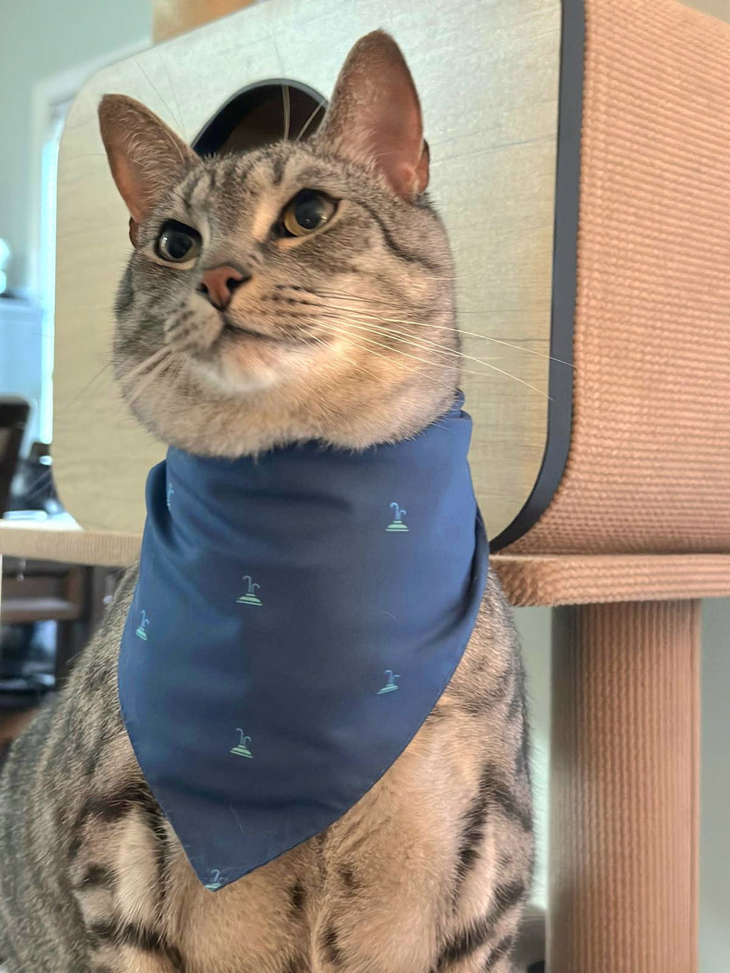 Lake Eola Fountain Pet Bandana