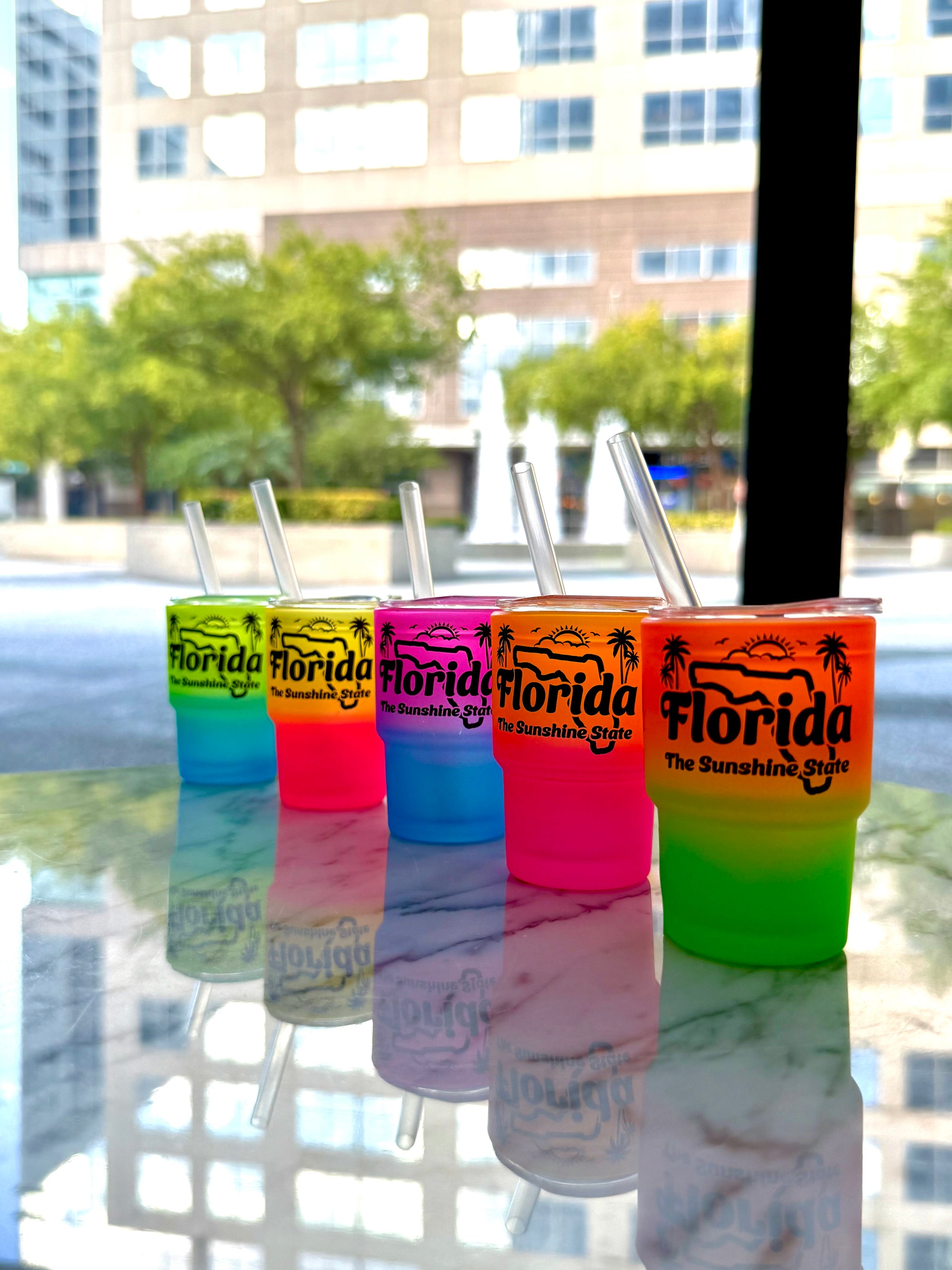 Florida Mini Tumbler 3 oz