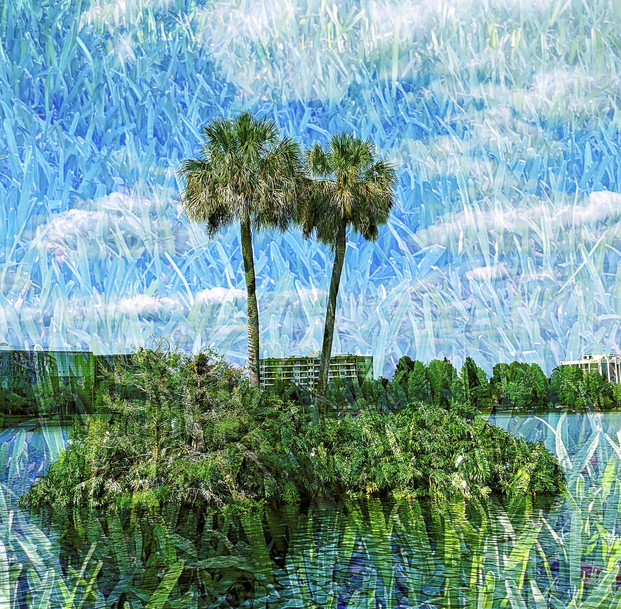 Orlando Mirage: Island