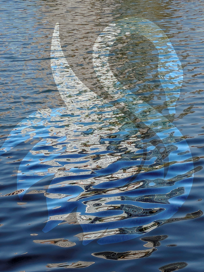 Orlando Mirage: Liquid Swan