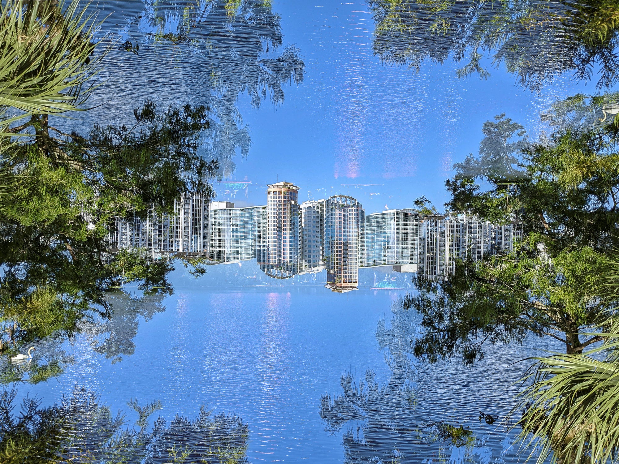 Orlando Mirage: Surreal Landscape