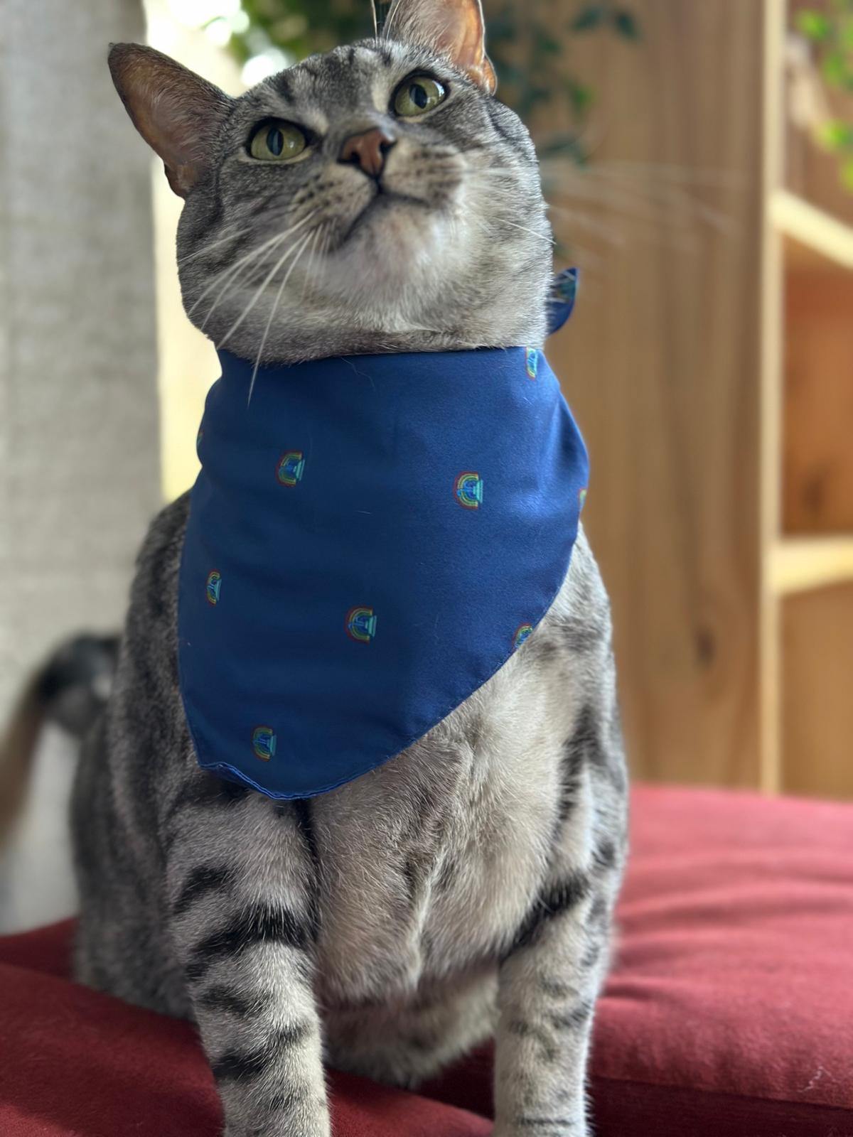 Lake Eola Pride Fountain Pet Bandana
