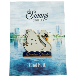Royal Mute Swan 