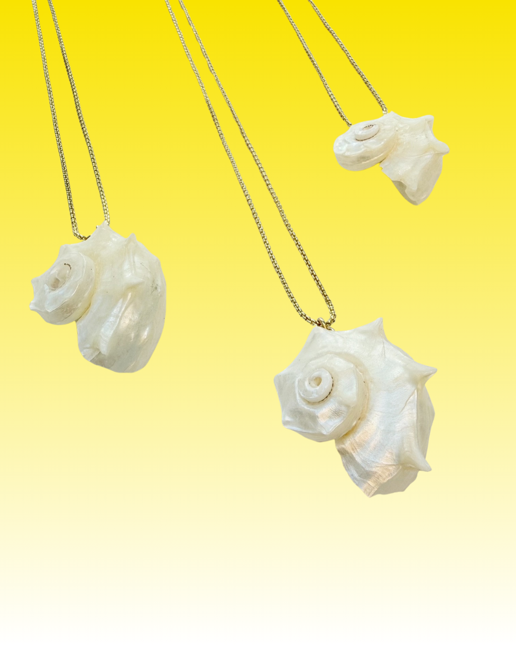 Sea Spiral Gold Chain Necklace