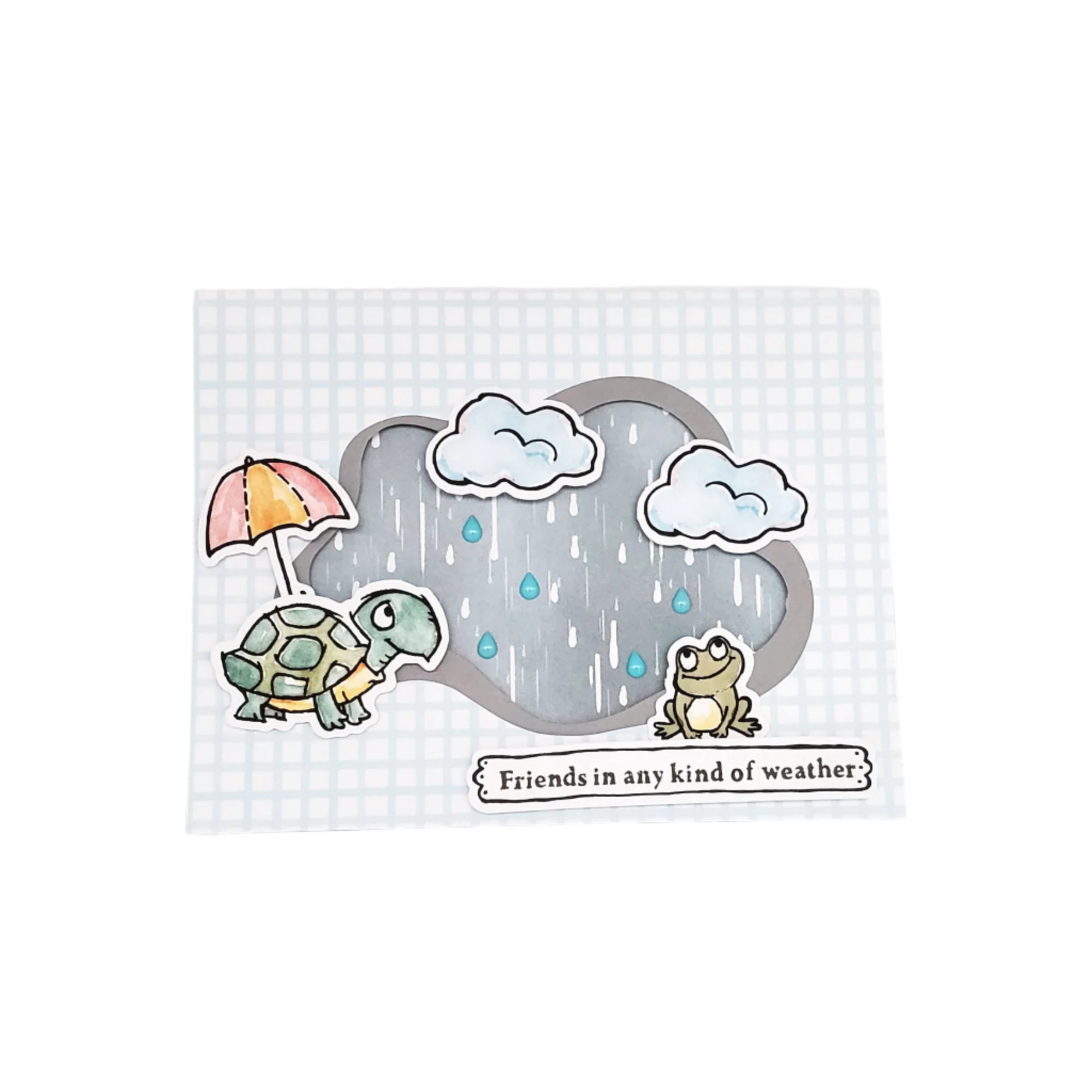 Friendship Assortment
